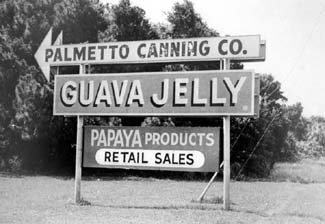 Historic roadside sign advertising Palmetto Canning guava jelly and papaya products